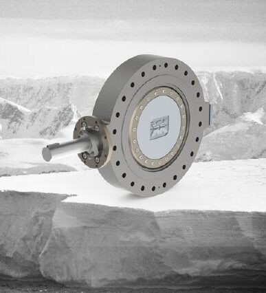 Butterfly valve lug type