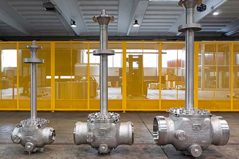 Low Temperature Top Entry ball valve
