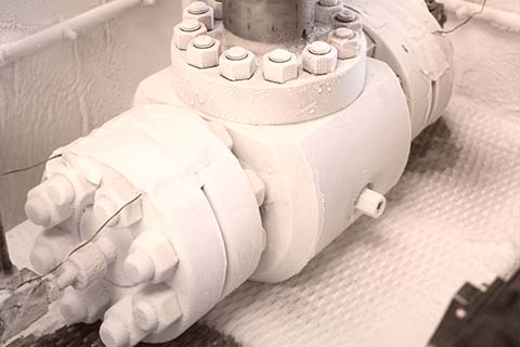 Low Temperature Top Entry ball valve