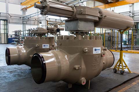 Top Entry ball valve